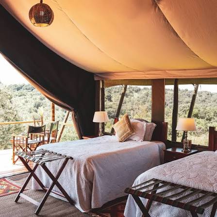 Premium Safari Stay