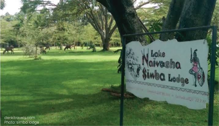 Lake Naivasha  Simba accommodation