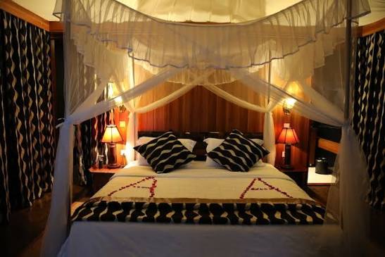 Premium Safari Stay